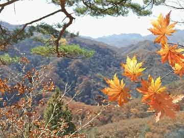 四平市最新招聘信息概覽，最新職位與招聘信息匯總